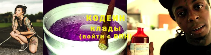 Кодеин Purple Drank  MEGA ссылки  Заводоуковск  купить наркотик 