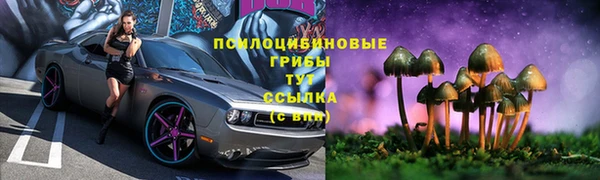 молекула духа Дмитров