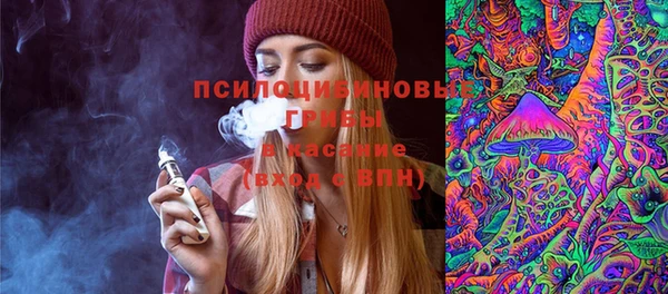 молекула духа Дмитров