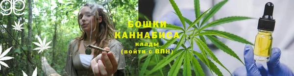 ПСИЛОЦИБИНОВЫЕ ГРИБЫ Дмитровск