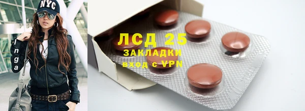 крисы Дмитриев
