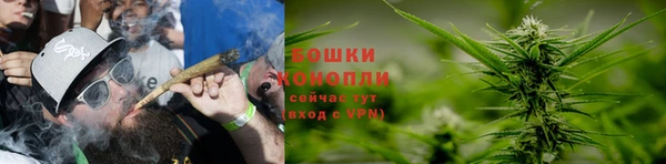 крисы Дмитриев