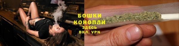 молекула духа Дмитров