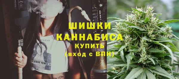 молекула духа Дмитров
