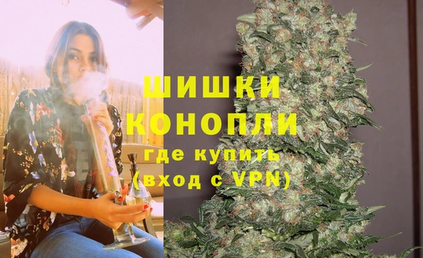 крисы Дмитриев