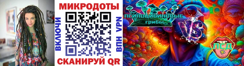 Галлюциногенные грибы MAGIC MUSHROOMS  кракен зеркало  Заводоуковск 