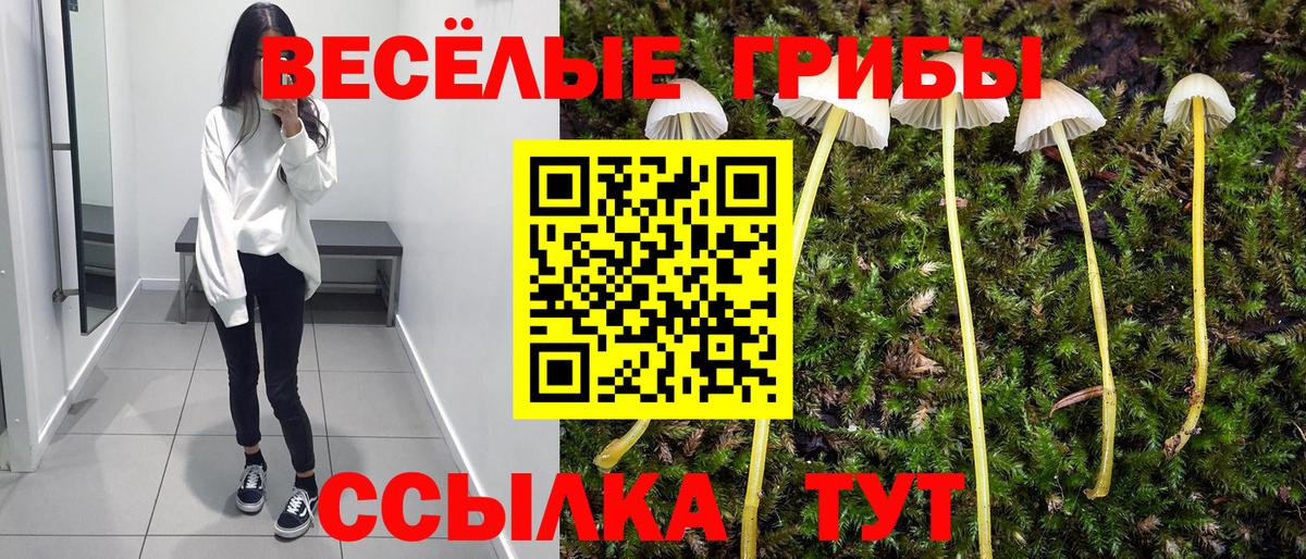 Галлюциногенные грибы прущие грибы Заводоуковск