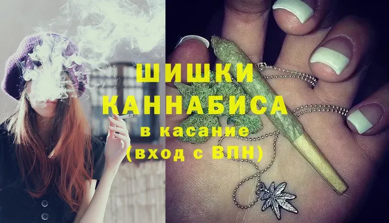 Бошки марихуана индика  Заводоуковск 